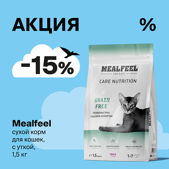 Вкусный август: скидка 15 % на сухой корм Mealfeel для кошек!