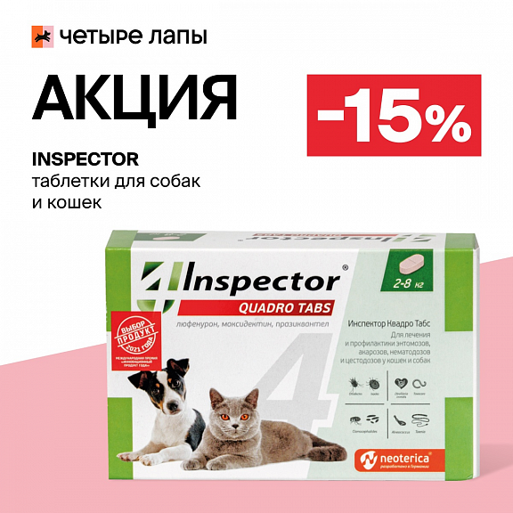 Защитим питомцев от клещей и блох!